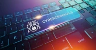 Matthew Syed, cybercriminals
