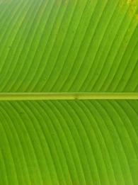 The importance of green IT