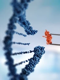 alpha genome
