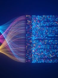 the data whisperes blueprint