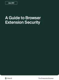 browser extension security